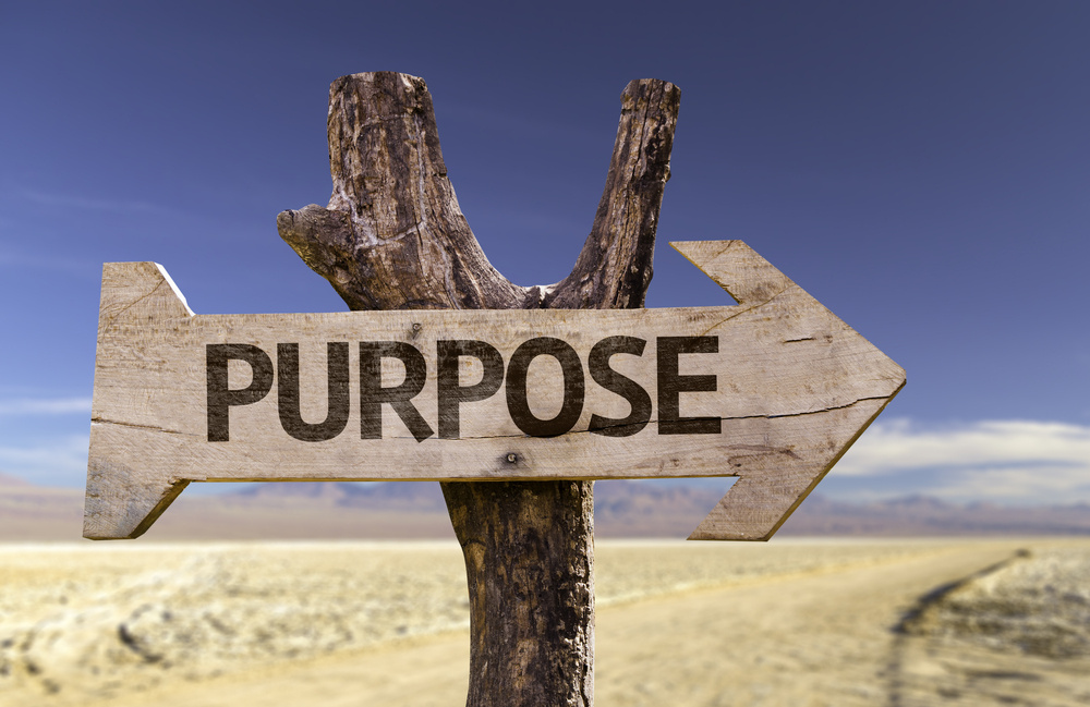 Purpose wooden sign with a desert background